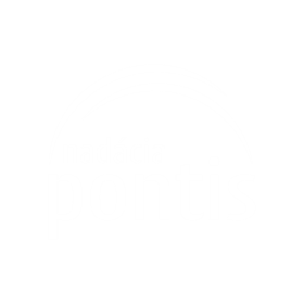 Pontis logo